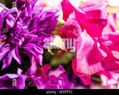 Beautiful pink and purple Flowers. Stock Photo