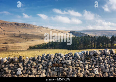 UK landscape: Beautiful view of the Wharfedale valley over a limestone wall from Littondale looking north over limestone crags and pine trees Stock Photo