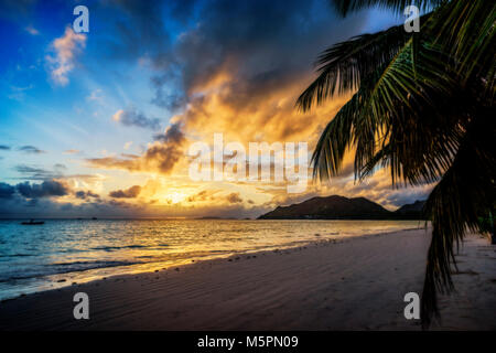 Amazing beautiful romantic sunset in paradise, a palm tree, white sand and turquoise water on seychelles beach anse volbert, praslin Stock Photo