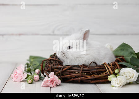 Easter bunny with flowers on white planks Stock Photo
