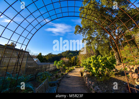 The UC Berkeley Botanical Garden is an incredible source of natural ...