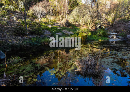 The Uc Berkeley Botanical Garden Is An Incredible Source Of