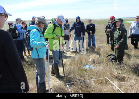 IMG . A guest presenter from MIT provides students with a basic how-to of taking a plant species inventory on the salt marshes of Cape Cod NS. Stock Photo