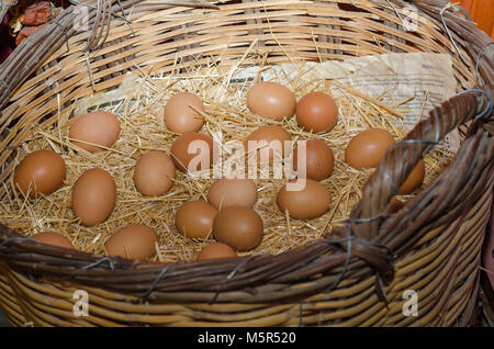 chicken eggs lying in the nest of straw. Top view Stock Photo