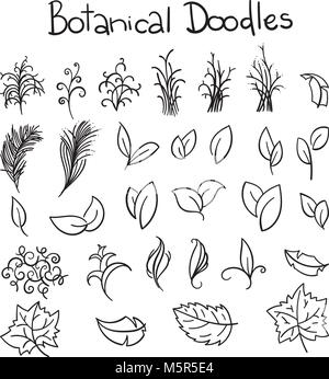 Botanical doodle set Stock Vector