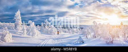 Panoramic view of young man cross-country skiing on a track in beautiful winter wonderland scenery in Scandinavia with scenic evening light at sunset  Stock Photo