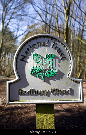 Badbury Wood sign. National Trust woodland near faringdon oxfordshire Stock Photo