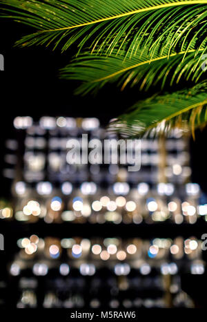 Palm tree in front of defocused bokeh city light Stock Photo