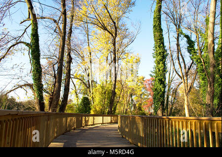 Wooded walking trail at Bladensburg Waterfront Stock Photo