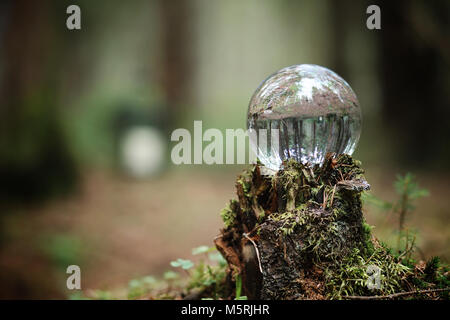 Crystal ball. A magical accessory in the woods on the stump. Rit Stock Photo