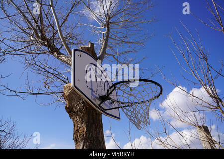 Kipsta basketball hoop hung on (attached) a tree Stock Photo