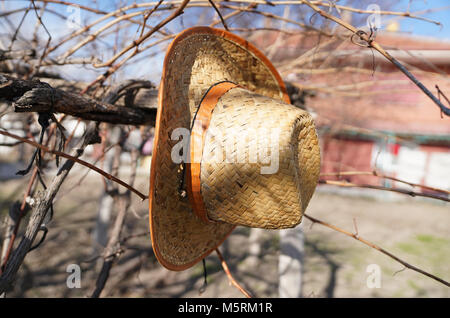 Straw hat hanging on a grape tree Stock Photo