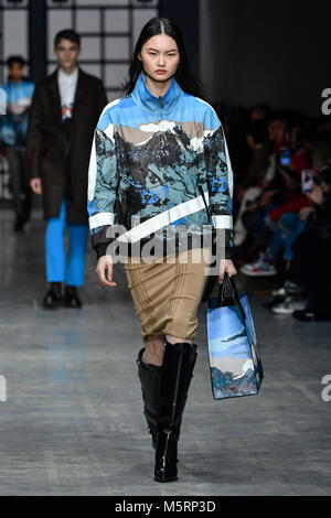 Milan, Italy. 25th Feb, 2018. Milan Woman's Fashion Week fall winter 2019. Milano Moda Donna, fall winter 2019. Trussardi Fashion Show Pictured: model Credit: Independent Photo Agency/Alamy Live News Stock Photo