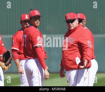 Los Angeles Angels manager Mike Scioscia argues a call with home plate ...