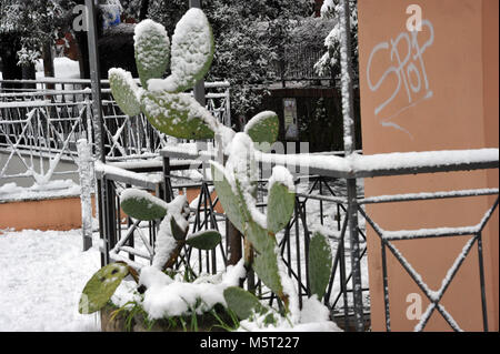 Roma, Italy. 26th Feb, 2018. Roma, nevicata eccezionale Credit: Independent Photo Agency/Alamy Live News Stock Photo