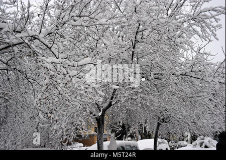 Roma, Italy. 26th Feb, 2018. Roma, nevicata eccezionale Credit: Independent Photo Agency/Alamy Live News Stock Photo