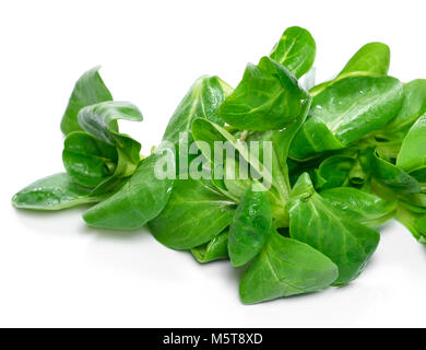 Fresh washed corn salad, isolated on white background. Cut out salad or lettuce, green leaves on white. Healthy eating or dieting scene. Stock Photo