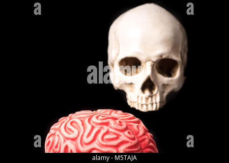 red Brain and Skull isolated on black background Stock Photo