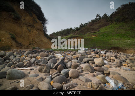 trash and shore stones Stock Photo