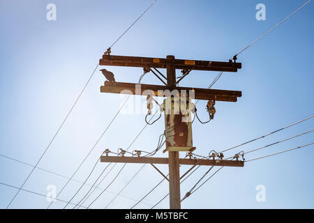 Old wooden high voltage electric pylon with a crow on it, united states of america. Stock Photo