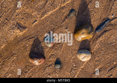 Pebbles in the sand on the beach Stock Photo