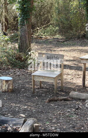 Wildlife chair in a wooded glade, Kent, English countryside Stock Photo