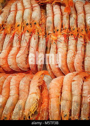 Many frozen prepared shrimps Stock Photo