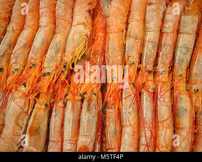 Many frozen prepared shrimps Stock Photo