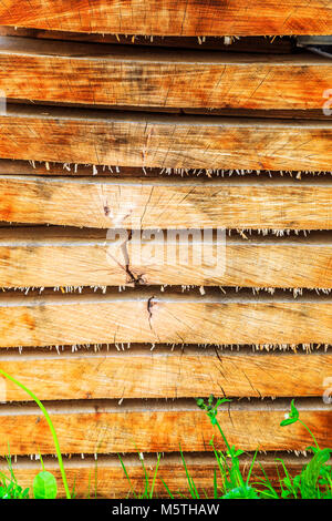 Stacks of timber seasoning in the sun ready for use in historical buildings and projects. Stock Photo