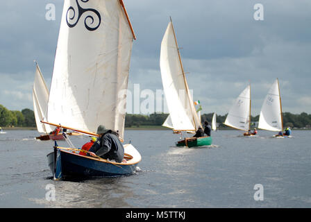 A fleet of sailing boats race towards Tarmonbarry on the River Shannon in Ireland. Scottish designer Iain Oughtred helms the nearest boat. Stock Photo