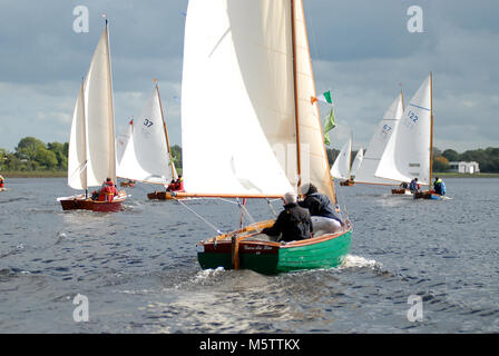 Fleet of boats racing towards Tarmonbarry during a sailing raid on the River Shannon, Ireland. French sailor Patrick Morvan is helming the green boat. Stock Photo