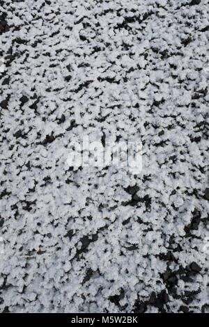 Snow on Gravel - 60% White, 40% Black.  Medium Textured Background without adding Color Stock Photo