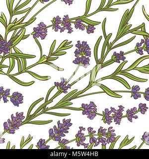 lavender plant vector pattern on white background Stock Vector