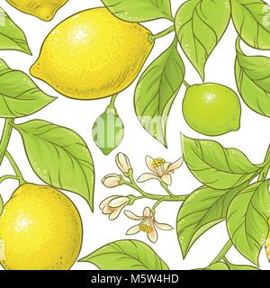 lemon branch vector pattern on white background Stock Vector