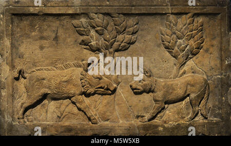 Relief depicting a dog and a wild boar facing each other. It illustrates the citation of the Cynics, disciples of Diogenes. 'As a small dog hinders a boar, the weaker can dominate the stronger.' Stone. 2nd century. Found in Albertus street, Cologne, Germany. Roman-Germanic Museum. Cologne. Germany. Stock Photo