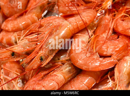 Ice cooled shrimp or king prawns on a fish market stall. Heap of cooked jumbo shrimps, food background, healthy eating scene. Mediterranean cuisine. Stock Photo