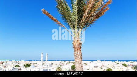 in muscat oman the cityscape and the palm near ocean view Stock Photo