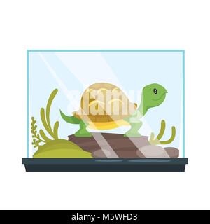 Vector cartoon style illustration of home animal pet - turtle in terrarium. Isolated on white background.