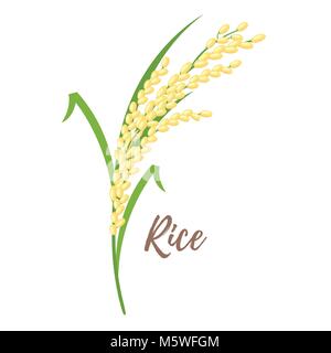 Vector cartoon style illustration of cereals - rice. Grain plant isolated on white background. Stock Vector