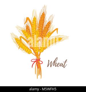 Vector cartoon style illustration of cereals - wheat. Grain plant isolated on white background. Stock Vector