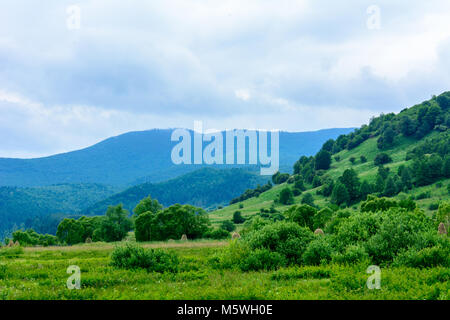 In Carpathians, the guests are always happy to meet the musicians, performing wonderful Ukrainian songs Stock Photo