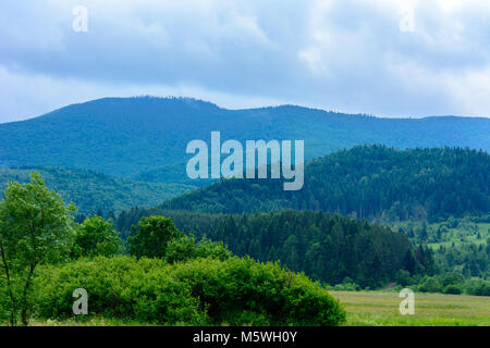 In Carpathians, the guests are always happy to meet the musicians, performing wonderful Ukrainian songs Stock Photo