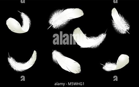 Realistic 3d detailed white swan pigeon feathers fluff set collection black blue background. Vector illustration. Falling feathers abstract light composition air wind flight design element Stock Vector