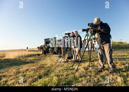 Bird watchers at spurn Stock Photo