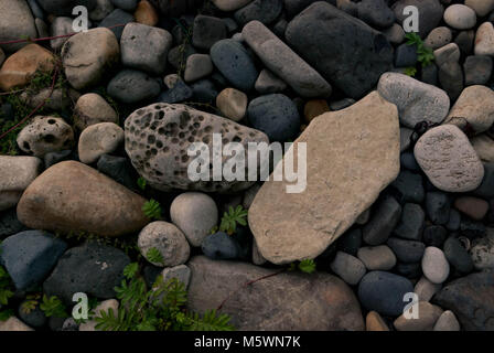 Pebbles on Singing Sands beach on Isle of Eigg Stock Photo