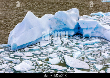 Iceburgs calved from Glaciar Grey float in Lago Grey; Torres del Paine National Park; Chile Stock Photo