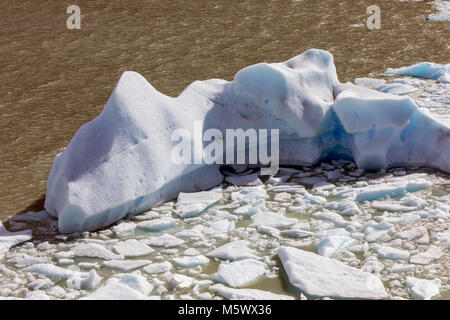 Iceburgs calved from Glaciar Grey float in Lago Grey; Torres del Paine National Park; Chile Stock Photo