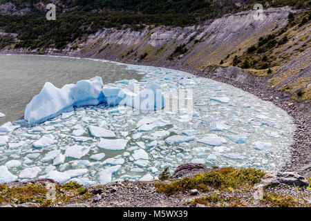 Iceburgs calved from Glaciar Grey float in Lago Grey; Torres del Paine National Park; Chile Stock Photo