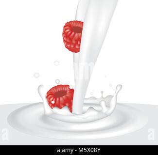 Milk splash with raspberry. vector illustration Stock Vector