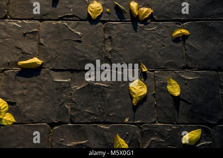 Brick wall background for 3D texture. Stock Photo